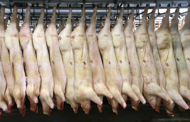 Countries block Swedish pork over swine fever outbreak