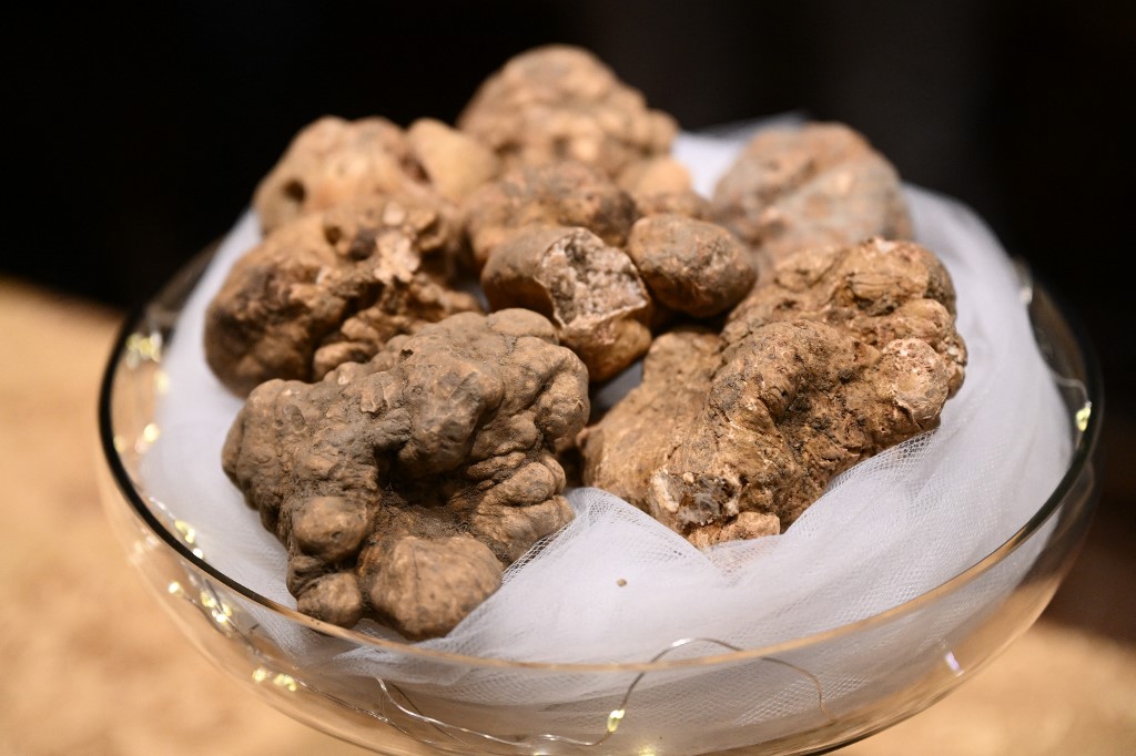 A batch of white truffles on display at the fair's 2022 edition.