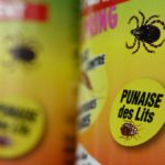 France hits back at hysteria over bedbug ‘invasion’