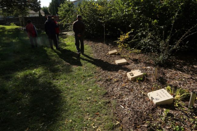 ‘Sanctuary forests’ spreading  in eastern France as alternative cemeteries