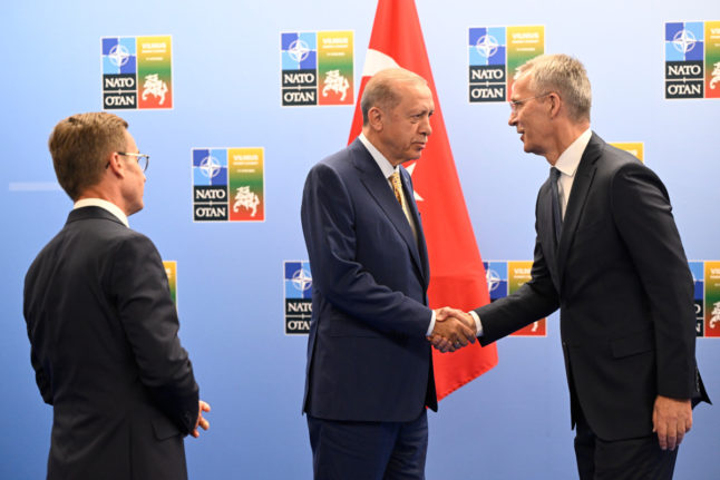 Turkish parliament votes through Sweden's Nato application