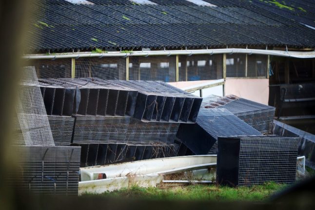 Denmark demolishes mink farms three years after controversial shutdown