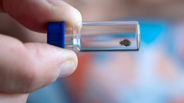 Does Berlin have a problem with bedbugs?