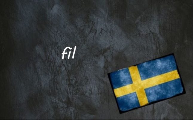 Swedish word of the day: fil