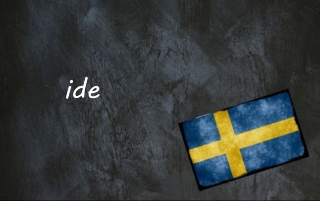 Swedish word of the day: ide