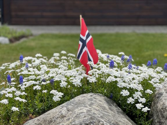 Pictured is a Norwegian flag amid flowers.
