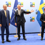 Turkey’s foreign affairs committee opens debate on Sweden’s Nato bid