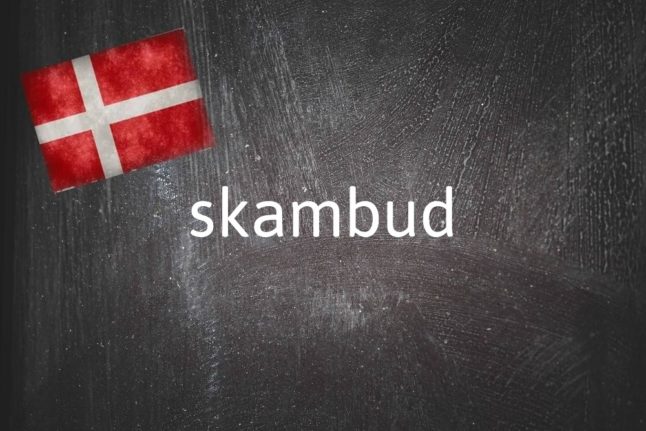 Danish word of the day: Skambud