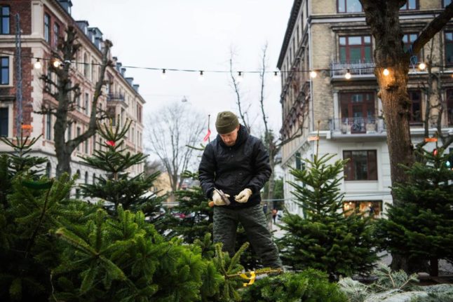 How to dispose of Christmas trees in Denmark