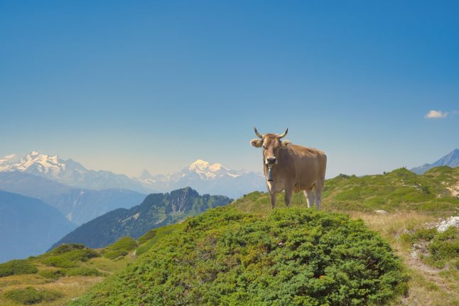 What makes Switzerland’s Alpine pasture season worthy of global recognition?