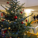 Weichnachtsamnestie: Why Germany lets prisoners out early around Christmas