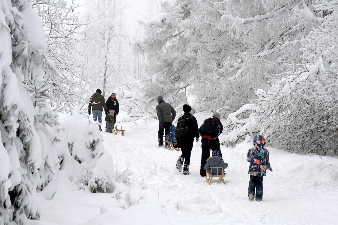 People hike in the snow in the Harz mountains. 