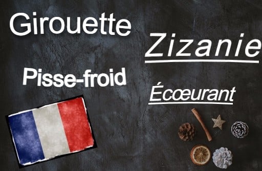 8 favourite French words of the Day