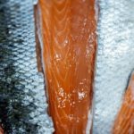 Why the EU is cracking down on Norway’s biggest salmon producers
