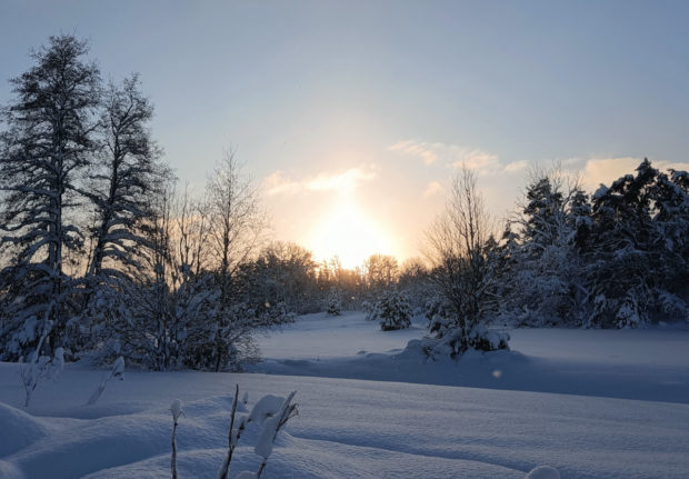 'My heart jumps with joy!' How foreigners feel about the Swedish winter