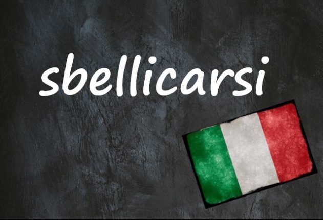 Italian word of the day: 'Sbellicarsi'