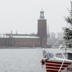 Discarded Christmas trees, a gift to Stockholm’s fish