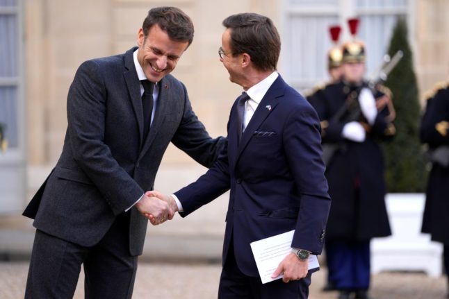 ‘Vive les clichés!’: Swedish PM mocked for Macron welcome