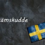 Swedish word of the day: skämskudde