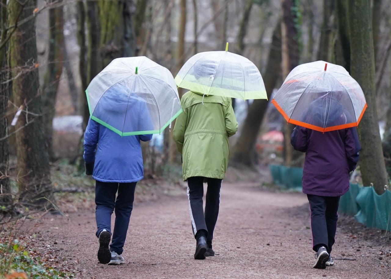 Three women walk through a park in the rain in Hamburg. 