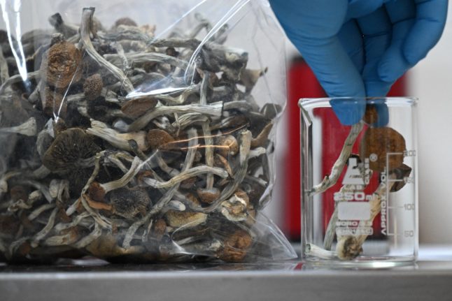 What’s the law on magic mushrooms in Spain?
