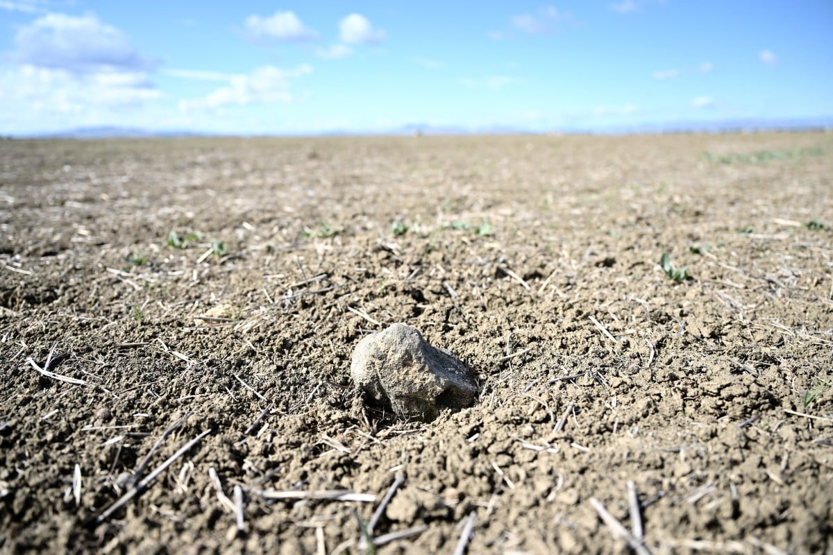 'Tragic situation': How a record drought is devastating Sicily