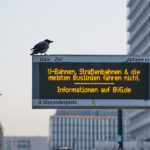 Where are German public transport strikes taking place Thursday and Friday?