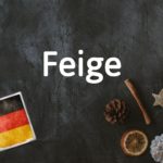 German word of the day: Feige
