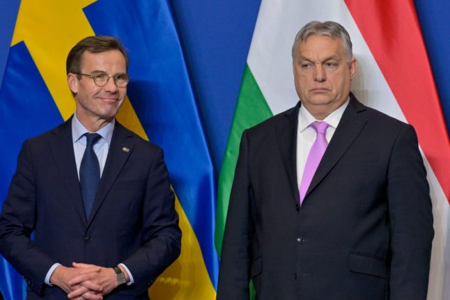 Hungary strikes fighter jet deal with Sweden ahead of Nato vote