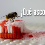 Spanish Word of the Day: Asco