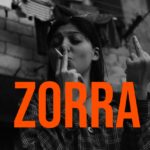 Spanish Word of the Day: Zorra