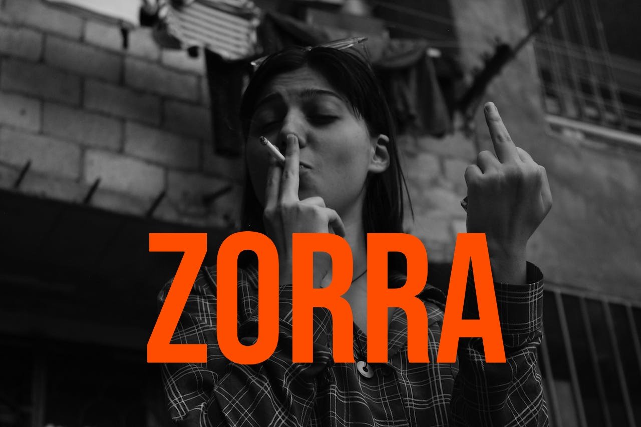 Spanish Word of the Day: Zorra thumbnail