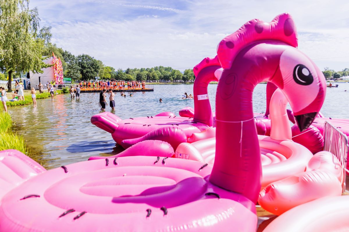 inflatable flamingos on a lake