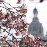 Spring to arrive in Germany with temperatures of up to 21C