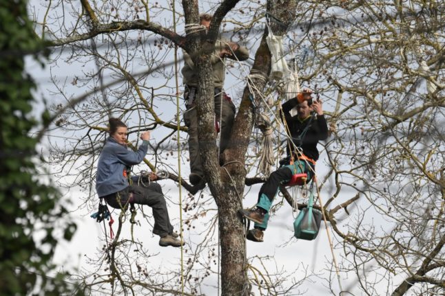 Protesters occupy a tree against the planned A69 motorway project near Toulouse, as police officers conduct an operation to remove them