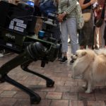 IN IMAGES: AI ‘robodog’ starts to police the streets of Spain’s Málaga