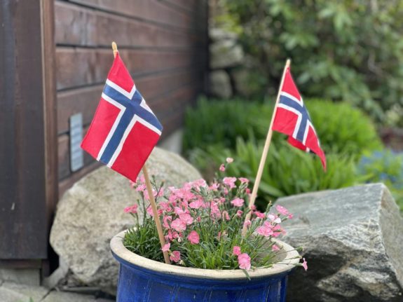 Norwegian flags