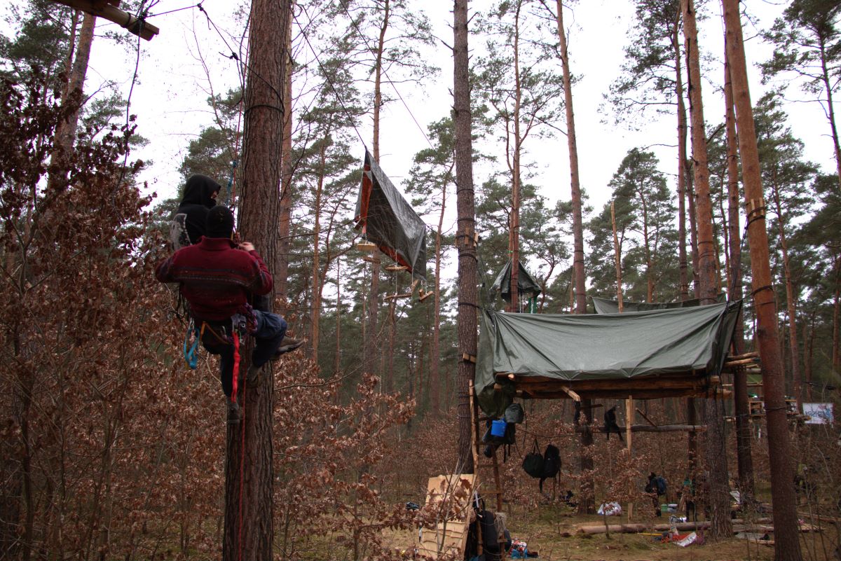 Tesla protestors climb trees in the forest