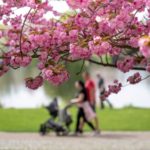 Germany to see temperatures up to 29C as spring heat spell continues