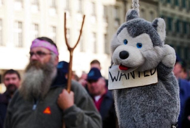 A man stands behind a soft toy representing a hanged wolf during a protest by stock breeders and farmers against the protection of wolves in front the Swiss House of Parliament on November 2009 in Bern.