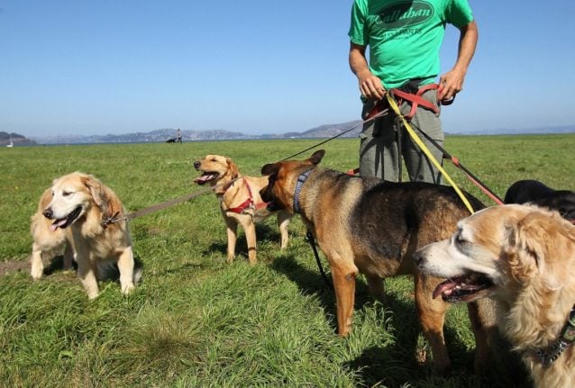 The little-known French law that could see dog owners fined €750 this spring
