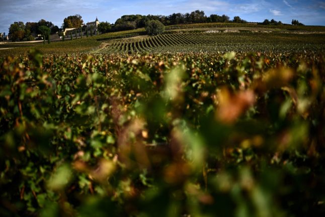 'Extreme' climate blamed for world's worst wine harvest in 62 years