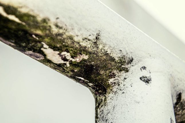 Mould at home: What rights do you have as a tenant in Norway?