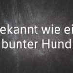 German phrase of the day: Bekannt wie ein bunter Hund