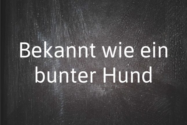 German phrase of the day: Bekannt wie ein bunter Hund