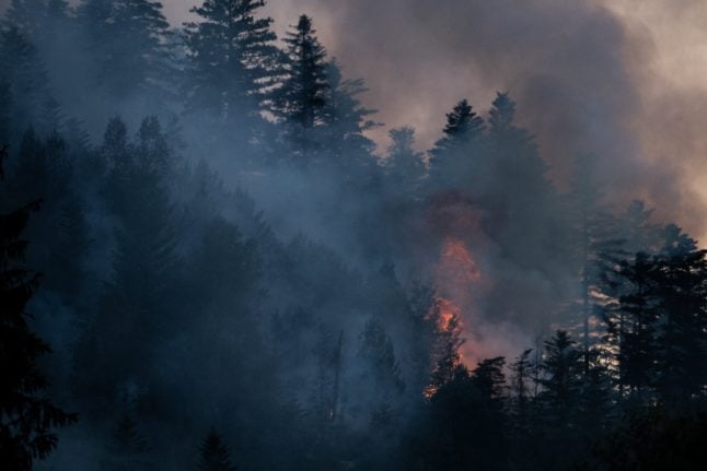 Wildfires: The new legal requirements for French property owners