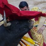 Spain to scrap national bullfighting prize