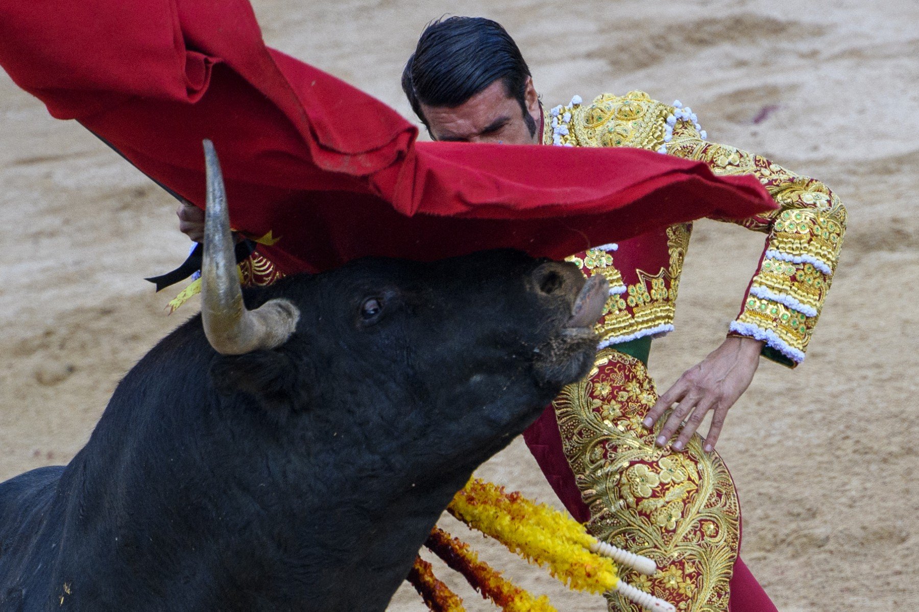 Spain to scrap national bullfighting prize thumbnail