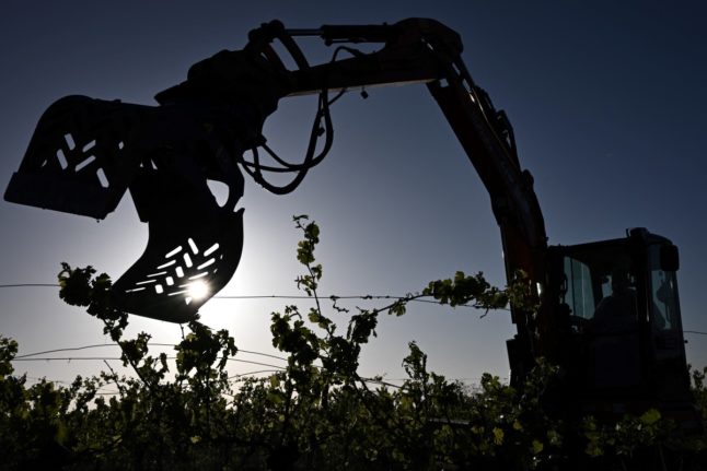 An employee mans a backhoe to grub up an area of vines in Saint-Martin-de-Sescas, southeast of Bordeaux. With Bordeaux wines selling less in recent years, winegrowers have been grubbing up vines.