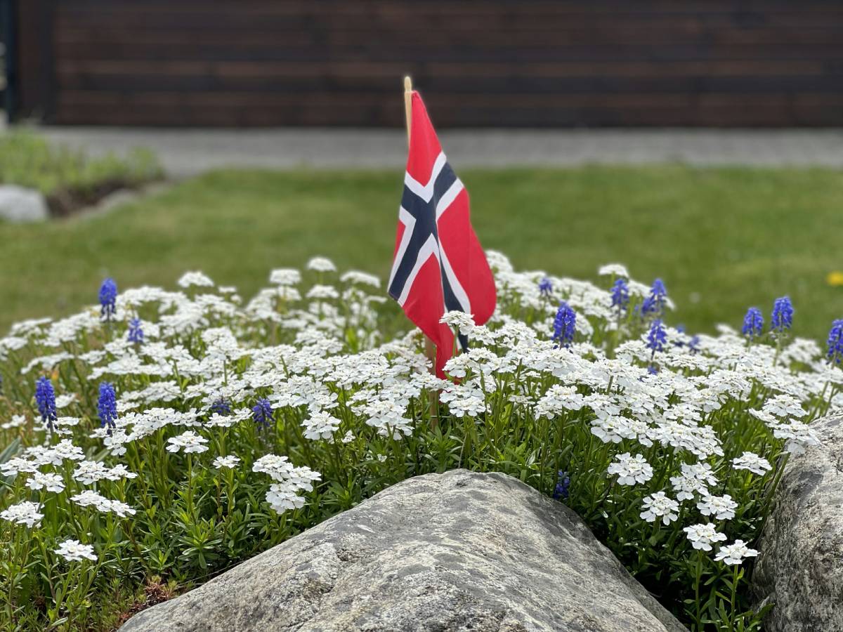 Norway flag 1 